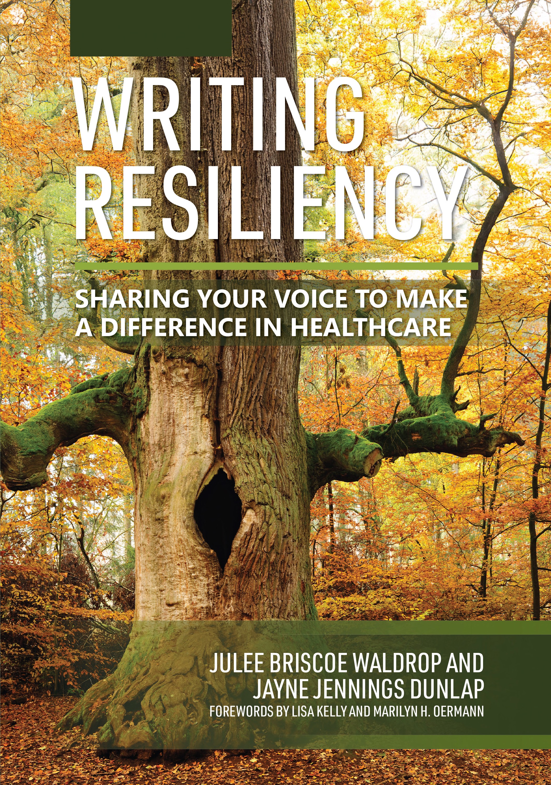 Writing Resiliency: Sharing Your Voice to Make a Difference in Healthcare